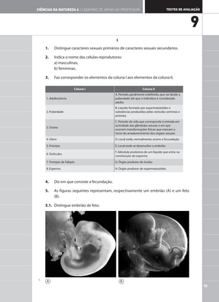 73
TESTES DE AVALIAÇÃO
CIÊNCIAS DA NATUREZA 6 | CADERNO DE APOIO AO PROFESSOR
9
I
1. Distingue caracteres sexuais primários de caracteres sexuais secundários.
2. Indica o nome das células reprodutoras:
a) masculinas;
b) femininas.
3. Faz corresponder os elementos da coluna I aos elementos da coluna II.
4. Diz em que consiste a fecundação.
5. As figuras seguintes representam, respectivamente um embrião (A) e um feto
(B).
5.1. Distingue embrião de feto.
Coluna I Coluna II
1. Adolescência
A. Período, geralmente indefinido, que vai desde a
puberdade até que o indivíduo é considerado
adulto
2. Puberdade
B. Líquido formado por espermatozóides e
substâncias produzidas pelas vesículas seminais e
próstata
3. Ovário
C. Período da vida que corresponde à entrada em
actividade das glândulas sexuais e em que
ocorrem transformações físicas que marcam o
início do amadurecimento dos órgãos sexuais
4. Útero D. Local onde, normalmente, ocorre a fecundação
5. Próstata E. Local onde se desenvolve o embrião
6.Testículos
F. Glândula produtora de um líquido que entra na
constituição do esperma
7.Trompas de Falópio G. Órgão produtor de óvulos
8. Esperma H. Órgão produtor de espermatozóides
A B
1.
 
