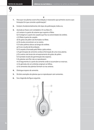 II
1. Para que nas plantas ocorra fecundação, é necessário que primeiro ocorra a po-
linização.Em que consiste a polinização?
2. Existem,fundamentalmente,três tipos de polinização.Indica-os.
3. Assinala as frases com verdadeiro (V) ou falso (F).
a) A antera é a parte do estame que suporta o filete.
b) O estigma é a parte do carpelo que fica na extremidade do estilete.
c) O filete é parte do carpelo.
d) Os grãos de pólen são formados no filete.
e) Os óvulos encontram-se no ovário.
f) O tubo polínico desce ao longo do estilete.
g) O ovo resulta da fecundação.
h) O carpelo é formado pelo filete e pela antera.
i) A germinação da semente conduz à formação de uma nova planta.
j) Os ovários são locais de armazenamento de grãos de pólen.
k) O protalo resulta da germinação dos esporos.
l) As plantas sem flor não se reproduzem.
m) O tegumento é a parte da semente onde se acumulam as reservas.
n) As gémulas de um embrião originam as folhas.
o) As sementes das plantas formam-se nas anteras.
4. Distingue esporo de semente.
5. Dá dois exemplos de plantas que se reproduzam sem sementes.
6. Faz a legenda da figura seguinte.
1
5
2
3
4
74
TESTES DE AVALIAÇÃO CIÊNCIAS DA NATUREZA 6 | CADERNO DE APOIO AO PROFESSOR
9
2.
 