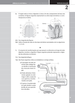 2. O órgão onde se inicia a digestão é a boca. Um dos componentes da boca são
os dentes. As figuras seguintes representam os vários tipos de dentes e a cons-
tituição de um dente.
2.1. Faz a legenda das figuras.
2.2. Indica a função de cada um dos tipos de dentes (assinalados com os algarismos
1,2,3 e 4).
III
1. O conjunto de transformações por que passam os alimentos ao longo do tubo
digestivo constitui a digestão. A figura seguinte pretende representar a diges-
tão dos alimentos no Homem.
1.1. Faz a legenda da figura.
1.2. Das frases seguintes,indica as verdadeiras e corrige as falsas.
a) A passagem do bolo ali-
mentar pelo esófago faz-
-se devido à contracção
dos músculos deste ór-
gão.
b) O bolo alimentar é forte-
mente agitado no estô-
mago e sofre a acção do
suco gástrico, transfor-
mando-o em quilo.
c) O quimo é transformado
em quilo devido à acção
da bílis, do suco pancreá-
tico e da saliva.
57
TESTES DE AVALIAÇÃO
CIÊNCIAS DA NATUREZA 6 | CADERNO DE APOIO AO PROFESSOR
2
1
2
4
3
2
4
3
5
Dentina
Vasos
sanguíneos
Nervo
6
1
2
3
4
Sangue
2. 3.
4.
 