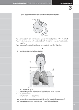 59
TESTES DE AVALIAÇÃO
CIÊNCIAS DA NATUREZA 6 | CADERNO DE APOIO AO PROFESSOR
3
7. A figura seguinte representa um outro tipo de aparelho digestivo.
7.1. Como se designam os animais que apresentam este tipo de aparelho digestivo?
7.2. O estômago destes animais é considerado simples ou composto? Justifica a tua
resposta.
7.3. Explica,de forma sucinta,o funcionamento deste aparelho digestivo.
II
1. Observa,atentamente,a figura seguinte.
1.1. Faz a legenda da figura.
1.2. Como se designam os movimentos que permitem as trocas gasosas?
1.3. Em que consiste a:
a) inspiração? b) expiração?
1.4. Como se designa a troca de gases ocorrida ao nível dos alvéolos pulmonares?
1.5. Que gases são trocados entre o sangue e os alvéolos pulmonares?
Esófago
Pança
Intestino
Co
alh
eir
a
F
o
l
h
o
s
o
B
a
r
r
e
t
e
Pulmão
1
2
3
4
5
6
3.
4.
 