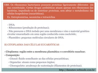OBS. Os ribossomos bacterianos possuem proteínas ligeiramente diferentes em
sua constituição. Certas drogas antibióticas atuam apenas nos ribossomos das
bactérias, impedindo-os de sintetizar proteínas, sem afetar o metabolismo das
células hospedeiras (eucarióticas).
Ex. Estreptomicina, neomicina e tetraciclina
- DNA;
- Ribossomos (produção de proteínas);
- Não possuem o DNA isolado por uma membrana e sim o material genético
circular emaranhado em uma região conhecida como nucleóide;
- Plasmídeo: pequenas moléculas circulares de DNA.
B) CITOPLASMA DAS CÉLULAS EUCARIÓTICAS
- Citoplasma: região entre a membrana plasmática e o envoltório nuuclear;
- Composição:
- Citosol: fluido semelhante ao das células procarióticas;
- Organelas: atuam como pequenos órgãos;
- Citoesqueleto: arcabouço de sustentação (filamentos de proteínas).
http://danutaw.webnode.com.br
 