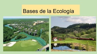 Bases de la Ecología
 