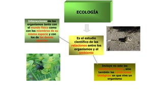 ECOLOGÍA
Es el estudio
científico de las
relaciones entre los
organismos y el
ambiente
Incluye no solo las
condiciones fís...