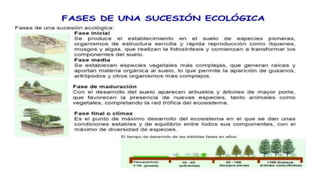 LA ECOLOGÍA COMO CIENCIA INTEGRADORA E
INTERDISCIPLINARIA
Debido a que la ecología estudia las relaciones de los
organismo...