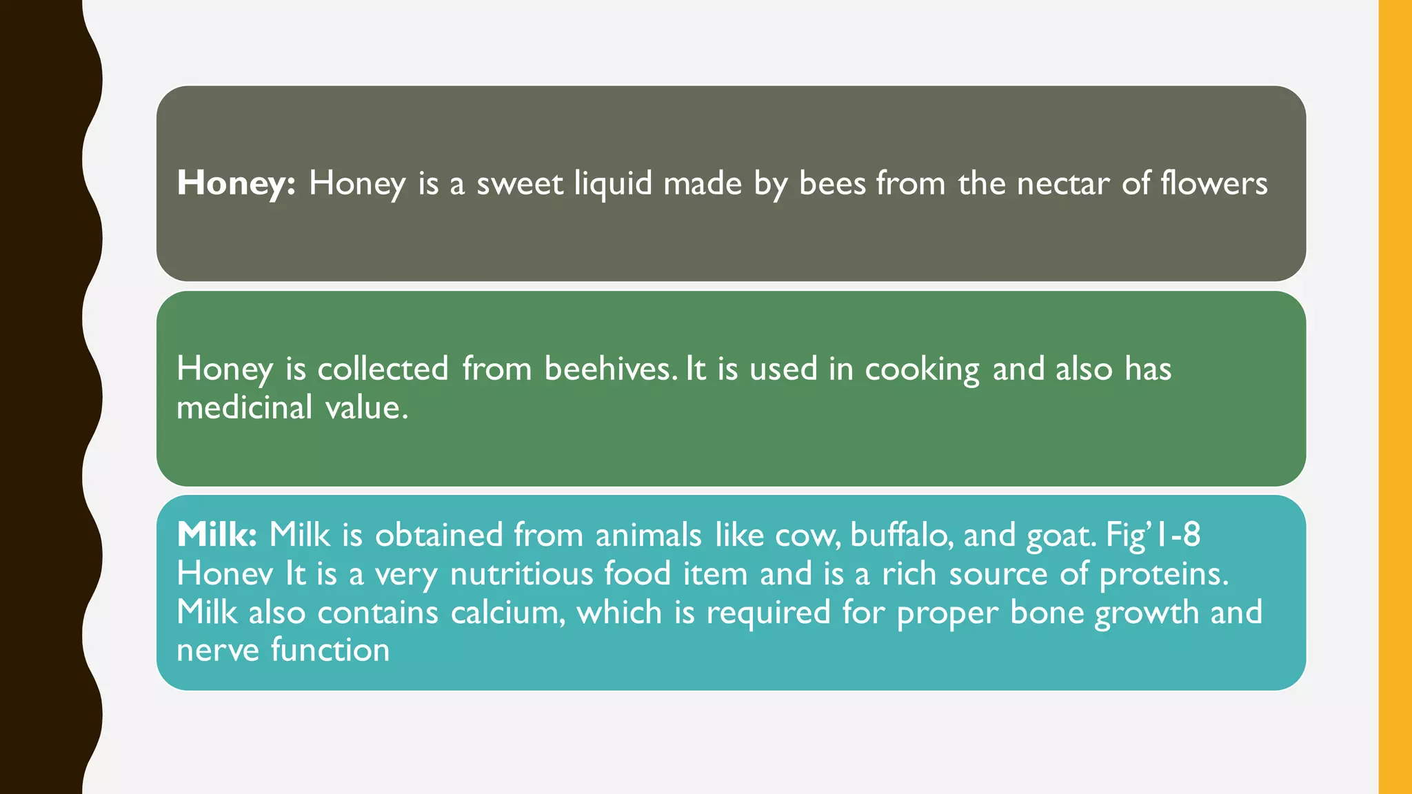 Honey: Honey is a sweet liquid made by bees from the nectar of flowers
Honey is collected from beehives. It is used in cooking and also has
medicinal value.
Milk: Milk is obtained from animals like cow, buffalo, and goat. Fig’1-8
Honev It is a very nutritious food item and is a rich source of proteins.
Milk also contains calcium, which is required for proper bone growth and
nerve function
 