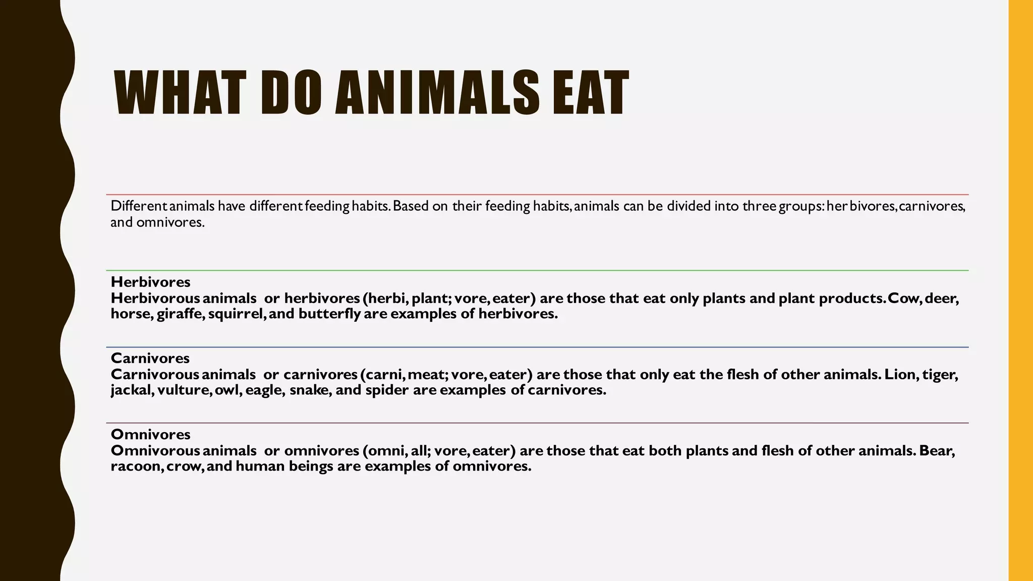 WHAT DO ANIMALS EAT
Differentanimals have differentfeeding habits.Based on their feeding habits,animals can be divided into three groups:herbivores,carnivores,
and omnivores.
Herbivores
Herbivorous animals or herbivores (herbi,plant;vore,eater) are those that eat only plants and plant products.Cow,deer,
horse,giraffe,squirrel,and butterfly are examples of herbivores.
Carnivores
Carnivorous animals or carnivores (carni,meat;vore,eater) are those that only eat the flesh of other animals.Lion,tiger,
jackal,vulture,owl,eagle, snake, and spider are examples of carnivores.
Omnivores
Omnivorous animals or omnivores (omni,all; vore,eater) are those that eat both plants and flesh of other animals.Bear,
racoon,crow,and human beings are examples of omnivores.
 