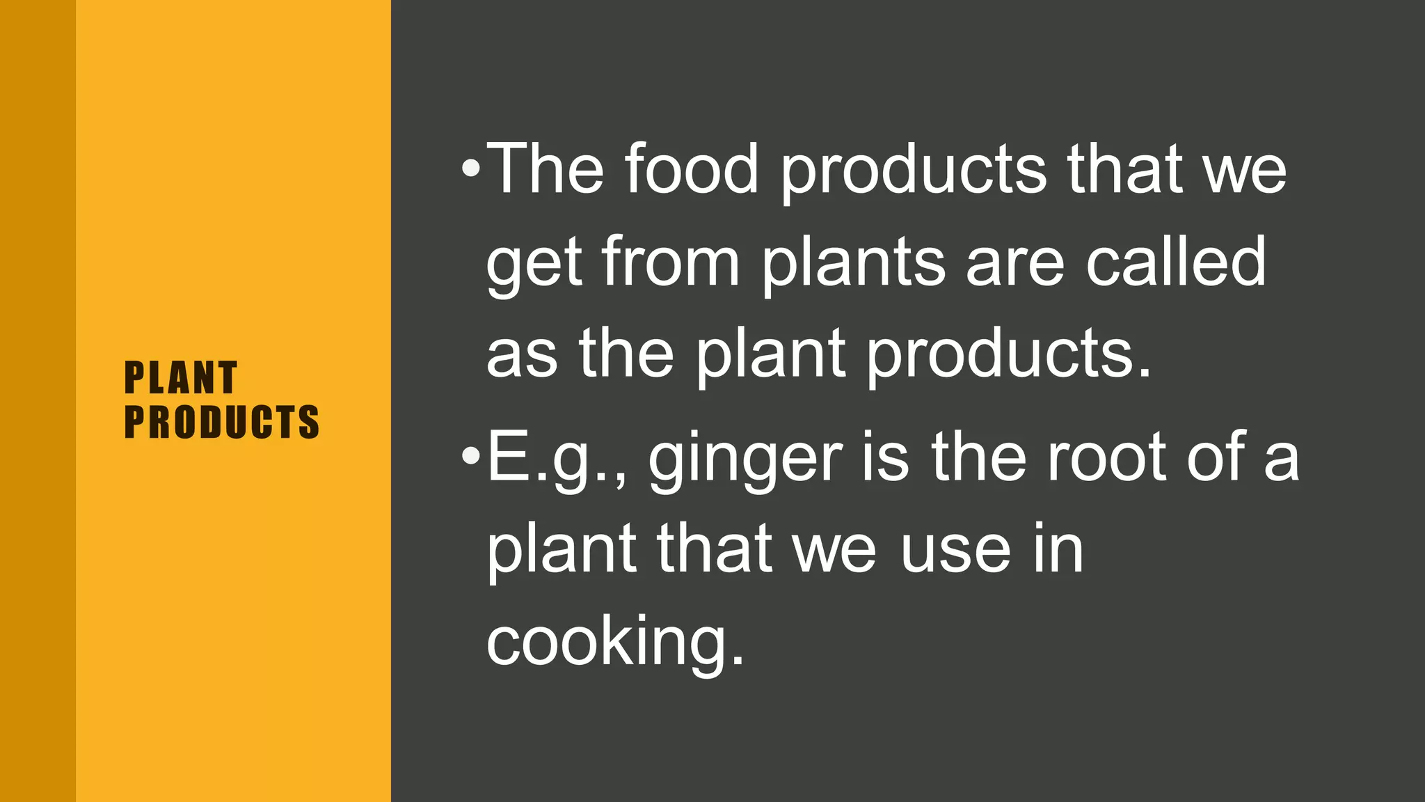 PLANT
PRODUCTS
•The food products that we
get from plants are called
as the plant products.
•E.g., ginger is the root of a
plant that we use in
cooking.
 
