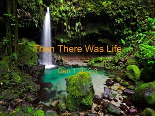 Then There Was Life
Gen 1:20-2:3
 