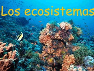 Los ecosistemas
 
