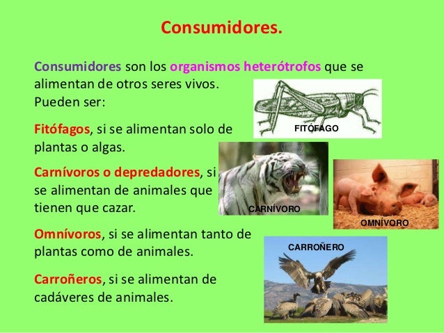 6º_CM_04 ecosistemas