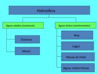Hidrosfera


Aguas saladas (oceánicas)                Aguas dulces (continentales)


                                                      Ríos
            Océanos

                                                     Lagos
              Mares
                                               Masas de hielo


                                             Aguas subterráneas
 