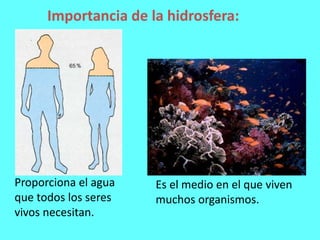 Importancia de la hidrosfera:




Proporciona el agua   Es el medio en el que viven
que todos los seres   muchos organismos.
vivos necesitan.
 
