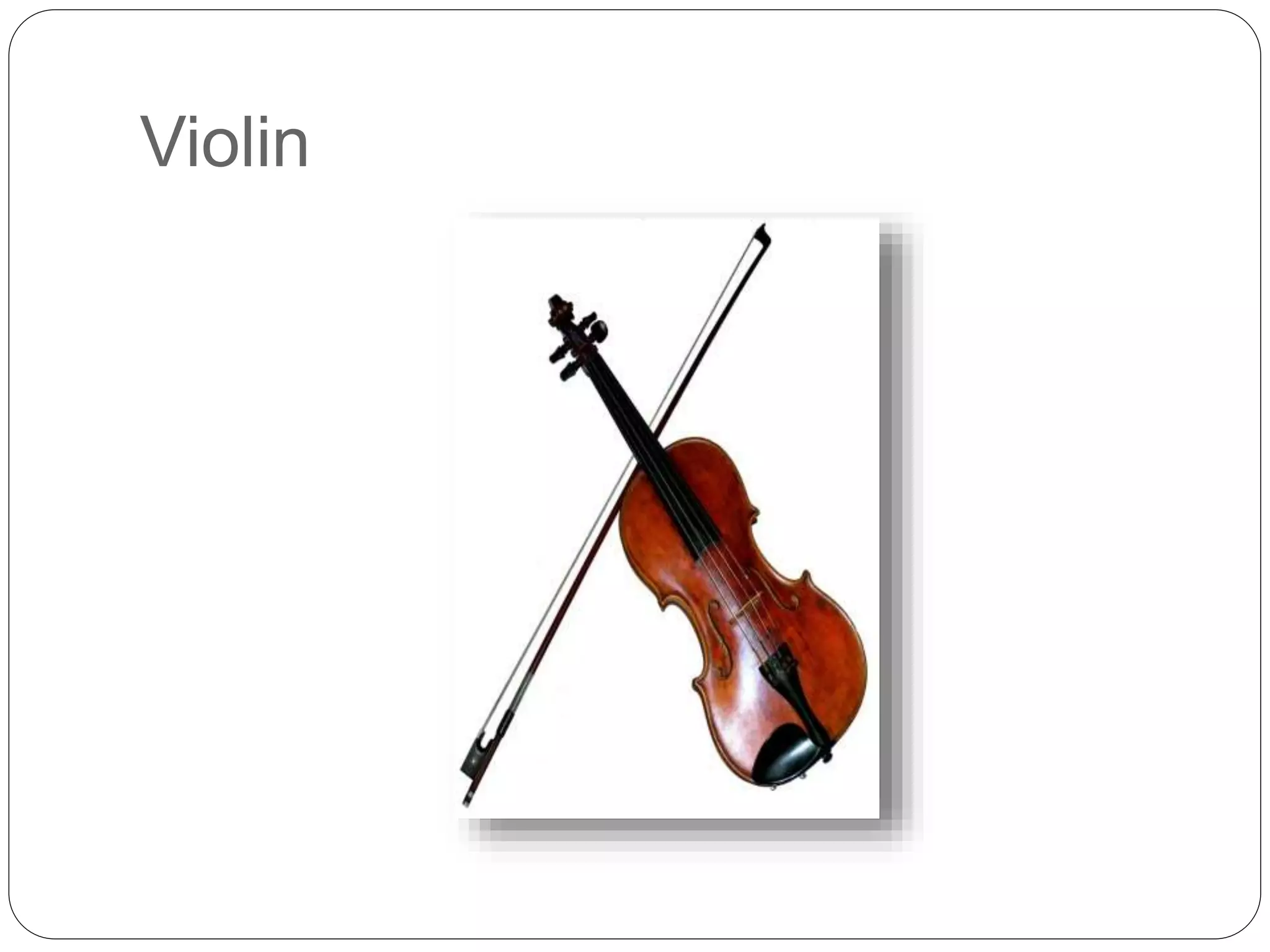 Violin