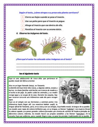 Según el texto, ¿cómo atrapa a su presa esta planta carnívora?
Cierra sus hojas cuando se posa el insecto.
Usa sus pelos para que el insecto se pegue.
Ahoga al insecto que cae dentro de ella.
Paraliza al insecto con su aroma dulce.
¿Para qué el autor ha colocado estas imágenes en el texto?
Esya es una adolescente de trece años que pertenece al
pueblo masái del África oriental.
Vive en un lugar llamado Sanya, en Tanzania.
La familia de Esya tiene diez vacas, y algunas cabras, ovejas y
burros. La choza familiar está hecha con troncos de madera y
el techo es de paja. Su padre cuida los animales, y su madre
recoge agua y se ocupa de la casa. Durante las sequías, hay
que recorrer cerca de seis kilómetros cada día para recoger
agua.
Esya va al colegio con sus hermanos y caminan juntos tres
kilómetros hasta llegar allí. Los maestros hablan suajili, la
lengua oficial de Tanzania, pero, en su casa y con sus amigos, Esya habla masái, la lengua de su pueblo.
Los masáis usan ropas de colores brillantes que, en su lengua, se llaman “rubekas”. Las mujeres llevan
la cabeza rapada y se ponen grandes collares formados por cientos de cuentas de madera pintadas de
diferentes colores. Además, los masáis hacen sus propias sandalias y las llaman “namukas”. En la
escuela, Esya usa uniforme, pero, cuando llega a casa, se pone las prendas tradicionales de su pueblo.
 