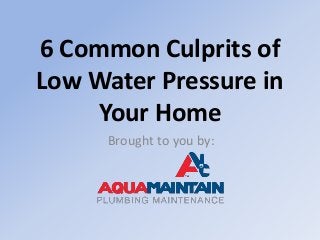 6 Common Culprits of
Low Water Pressure in
Your Home
Brought to you by:
 