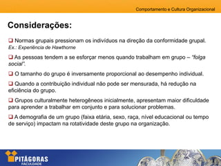 Comportamento e Cultura Organizacional
 Normas grupais pressionam os indivíduos na direção da conformidade grupal.
Ex.: Experiência de Hawthorne
 As pessoas tendem a se esforçar menos quando trabalham em grupo – “folga
social”.
 O tamanho do grupo é inversamente proporcional ao desempenho individual.
 Quando a contribuição individual não pode ser mensurada, há redução na
eficiência do grupo.
 Grupos culturalmente heterogêneos inicialmente, apresentam maior dificuldade
para aprender a trabalhar em conjunto e para solucionar problemas.
 A demografia de um grupo (faixa etária, sexo, raça, nível educacional ou tempo
de serviço) impactam na rotatividade deste grupo na organização.
Considerações:
 