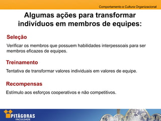 Comportamento e Cultura Organizacional
Seleção
Verificar os membros que possuem habilidades interpessoais para ser
membros eficazes de equipes.
Treinamento
Tentativa de transformar valores individuais em valores de equipe.
Recompensas
Estímulo aos esforços cooperativos e não competitivos.
Algumas ações para transformar
indivíduos em membros de equipes:
 