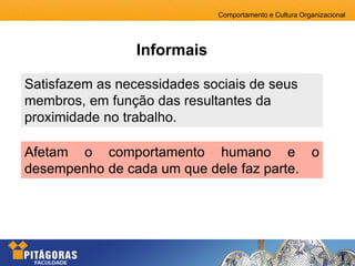Comportamento e Cultura Organizacional
Informais
Afetam o comportamento humano e o
desempenho de cada um que dele faz parte.
Satisfazem as necessidades sociais de seus
membros, em função das resultantes da
proximidade no trabalho.
 