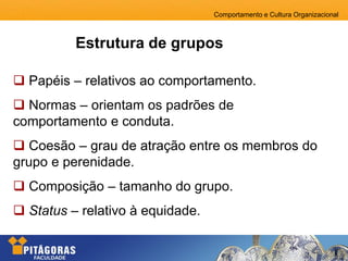 Comportamento e Cultura Organizacional
Estrutura de grupos
 Papéis – relativos ao comportamento.
 Normas – orientam os padrões de
comportamento e conduta.
 Coesão – grau de atração entre os membros do
grupo e perenidade.
 Composição – tamanho do grupo.
 Status – relativo à equidade.
 
