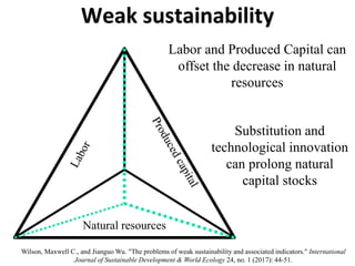 Weak sustainability
Natural resources
Labor and Produced Capital can
offset the decrease in natural
resources
Substitution and
technological innovation
can prolong natural
capital stocks
Wilson, Maxwell C., and Jianguo Wu. "The problems of weak sustainability and associated indicators." International
Journal of Sustainable Development & World Ecology 24, no. 1 (2017): 44-51.
 