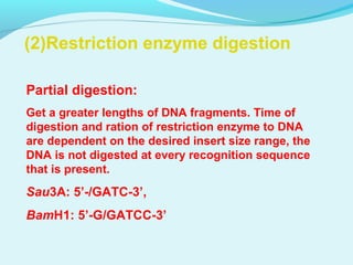 (2)Restriction enzyme digestion
Partial digestion:
Get a greater lengths of DNA fragments. Time of
digestion and ration of restriction enzyme to DNA
are dependent on the desired insert size range, the
DNA is not digested at every recognition sequence
that is present.
Sau3A: 5’-/GATC-3’,
BamH1: 5’-G/GATCC-3’
 