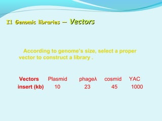 I1 Genomic libraries —I1 Genomic libraries — VectorsVectors
According to genome’s size, select a proper
vector to construct a library .
Vectors Plasmid phageλ cosmid YAC
insert (kb) 10 23 45 1000
 