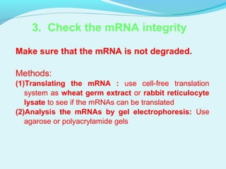 Make sure that the mRNA is not degraded.
Methods:
(1)Translating the mRNA : use cell-free translation
system as wheat germ extract or rabbit reticulocyte
lysate to see if the mRNAs can be translated
(2)Analysis the mRNAs by gel electrophoresis: Use
agarose or polyacrylamide gels
3. Check the mRNA integrity
 