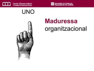 UNO
Maduressa
organitzacional
 