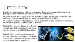 ETIOLOGÍA
Las últimas investigaciones dicen que se puede deber a una causa autoinmune o la
participación de múltiples factores genéticos y/o ambientales.
Este mecanismo inmunitario activa los glóbulos blancos del torrente sanguíneo, que
entran en el cerebro y debilitan los mecanismos de defensa de éste.
Una vez en el cerebro, estos glóbulos activan otros elementos del sistema inmunitario,
de forma tal que atacan y destruyen la mielina.
También hay pruebas de que la esclerosis
múltiple es más frecuente entre personas
que tienen una susceptibilidad genética.
También virus común puede activar el
sistema inmunitario del cuerpo, haciendo
que ataque y destruya mielina del sistema
nervioso central en una persona
 
