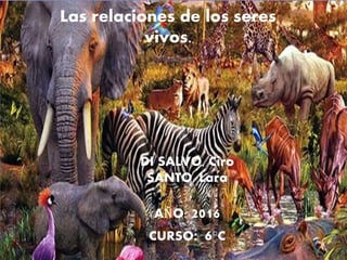 Las relaciones de los seres
vivos.
DI SALVO, Ciro
SANTO, Lara
AÑO: 2016
CURSO: 6°C
 
