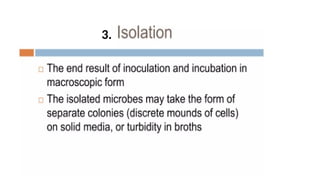 Culturing, inoculation and identification - Microbiology for Lab ...