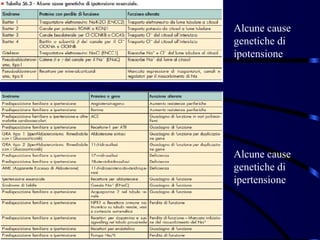 Alcune cause
genetiche di
ipotensione




Alcune cause
genetiche di
ipertensione
 