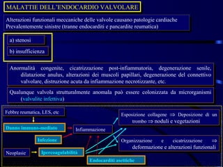 MALATTIE DELL’ENDOCARDIO VALVOLARE
MALATTIE DELL’ENDOCARDIO VALVOLARE
Alterazioni funzionali meccaniche delle valvole causano patologie cardiache
 Alterazioni funzionali meccaniche delle valvole causano patologie cardiache
Prevalentemente sinistre (tranne endocarditi eepancardite reumatica)
 Prevalentemente sinistre (tranne endocarditi pancardite reumatica)

  a) stenosi
   a) stenosi
  b) insufficienza
   b) insufficienza

  Anormalità congenite, cicatrizzazione post-infiammatoria, degenerazione senile,
  Anormalità congenite, cicatrizzazione post-infiammatoria, degenerazione senile,
      dilatazione anulus, alterazioni dei muscoli papillari, degenerazione del connettivo
       dilatazione anulus, alterazioni dei muscoli papillari, degenerazione del connettivo
      valvolare, distruzione acuta da infiammazione necrotizzante, etc.
       valvolare, distruzione acuta da infiammazione necrotizzante, etc.
  Qualunque valvola strutturalmente anomala può essere colonizzata da microrganismi
  Qualunque valvola strutturalmente anomala può essere colonizzata da microrganismi
      (valvulite infettiva)
       (valvulite infettiva)

Febbre reumatica, LES, etc
 Febbre reumatica, LES, etc                          Esposizione collagene ⇒ Deposizione di un
                                                      Esposizione collagene ⇒ Deposizione di un
                                                          trombo ⇒ noduli eevegetazioni
                                                           trombo ⇒ noduli vegetazioni
Danno immuno-mediato
 Danno immuno-mediato            Infiammazione
                                  Infiammazione
                Infezione
                 Infezione                           Organizzazione
                                                      Organizzazione   ee   cicatrizzazione
                                                                             cicatrizzazione  ⇒
                                                                                              ⇒
                                                           deformazione eealterazioni funzionali
                                                            deformazione alterazioni funzionali
Neoplasie
 Neoplasie       Ipercoagulabilità
                  Ipercoagulabilità
                                       Endocarditi asettiche
                                        Endocarditi asettiche
 