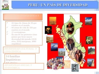  24 tipos de climas de 32 que
existen en el mundo.
 84 zonas de vida de 104 que
existen en el mundo.
 11 ecorregiones
 Es uno de los primeros cinco
países que tiene mayor
diversidad del mundo (1816
aves, 3532 mariposas, 4000
orquídeas)
DIVERSIDAD GEOGRÁFICA Y
BIOLÓGICA
DIVERSIDAD CULTURAL Y
LINGUÍSTICA
14 familias
lingüísticas
44 etnias
DIVERSIDAD SOCIAL Y
ECONÓMICA.
PERU: UN PAÍS DE DIVERSIDADPERU: UN PAÍS DE DIVERSIDAD
 