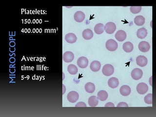 Platelets:
150.000 –
400.000 mm³
Average
time llife:
5-9 days
 