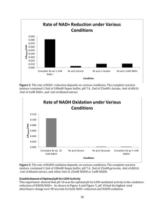 10
Figure2. The rate of NAD+ reduction depends on various conditions. The complete reaction
mixture contained 1.5ml of 100mM Hepes buffer, pH 7.4, .5ml of 25mM L-lactate, .4ml of diH2O,
.5ml of 1mM NAD+, and .1ml of diluted extract.
Figure3. The rate of NADH oxidation depends on various conditions. The complete reaction
mixture contained 1.5ml of 100mM Hepes buffer, pH 7.4, .5ml of 25mM pyruvate, .4ml of diH2O,
.1ml of diluted extract, and either.5ml of .25mM NADH or 1mM NADH.
EstablishmentofOptimal pH forLDHActivity
This experiment showed that pH 10 was the optimal pH forLDH-mediated activity in the oxidation-
reduction of NADH/NAD+. As shown in Figure 4 and Figure 5, pH 10 had the highest total
absorbance change over 90 seconds forboth NAD+ reduction and NADH oxidation.
0.000
0.010
0.020
0.030
0.040
0.050
0.060
0.070
0.080
0.090
Complete Rx w/ 1 mM
NAD+
Rx w/o Extract Rx w/o L-lactate Rx w/o 1mM NAD+
A340nm/min
Condition
Rate of NAD+ Reduction under Various
Conditions
0.000
0.020
0.040
0.060
0.080
0.100
0.120
Complete Rx w/ .25
mM NADH
Rx w/o Extract Rx w/o Pyruvate Complete Rx w/ 1 mM
NADH
A340nm/min
Condition
Rate of NADH Oxidation under Various
Conditions
 