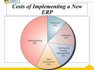Costs of Implementing a New ERP 