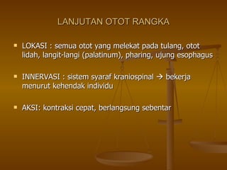 LANJUTAN OTOT RANGKA LOKASI : semua otot yang melekat pada tulang, otot lidah, langit-langi (palatinum), pharing, ujung esophagus INNERVASI : sistem syaraf kraniospinal    bekerja menurut kehendak individu AKSI: kontraksi cepat, berlangsung sebentar 