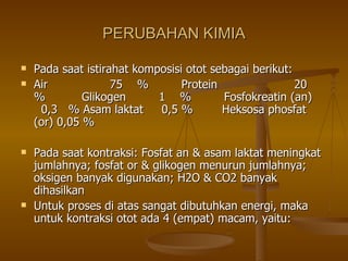 PERUBAHAN KIMIA Pada saat istirahat komposisi otot sebagai berikut: Air  75  %  Protein  20  %  Glikogen  1  %  Fosfokreatin (an)  0,3  % Asam laktat  0,5 %  Heksosa phosfat (or) 0,05 % Pada saat kontraksi: Fosfat an & asam laktat meningkat jumlahnya; fosfat or & glikogen menurun jumlahnya; oksigen banyak digunakan; H2O & CO2 banyak dihasilkan Untuk proses di atas sangat dibutuhkan energi, maka untuk kontraksi otot ada 4 (empat) macam, yaitu: 