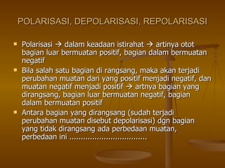 POLARISASI, DEPOLARISASI, REPOLARISASI Polarisasi    dalam keadaan istirahat    artinya otot bagian luar bermuatan positif, bagian dalam bermuatan negatif Bila salah satu bagian di rangsang, maka akan terjadi perubahan muatan dari yang positif menjadi negatif, dan muatan negatif menjadi positif    artnya bagian yang dirangsang, bagian luar bermuatan negatif, bagian dalam bermuatan positif Antara bagian yang dirangsang (sudah terjadi perubahan muatan disebut depolarisasi) dgn bagian yang tidak dirangsang ada perbedaan muatan, perbedaan ini .................................. 