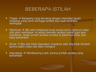 BEBERAPA ISTILAH Treppe    Rangsang yang berulang dengan intensitas (kuat) rangsang yang sama sehingga lambat laun kuat kontraksi meningkat Hipertropi    Bila otot melakukan kerja secara terus menerus maka otot akan membesar    setiap diameter serabut syaraf juga akan membesar, tetapi jumlah serabut serabut di dalamnya tetap atau tidak bertambah Atropi    Bila otot tidak digunakan (misalnya sakit shg tidak berjalan karena sakit) maka otot akan mengecil Hiperplasia    Membesarnya otot, karena jumlah serabut yang bertambah 