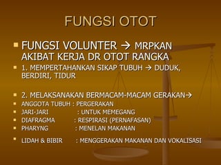 FUNGSI OTOT FUNGSI VOLUNTER     MRPKAN AKIBAT KERJA DR OTOT RANGKA 1. MEMPERTAHANKAN SIKAP TUBUH    DUDUK, BERDIRI, TIDUR 2. MELAKSANAKAN BERMACAM-MACAM GERAKAN  ANGGOTA TUBUH : PERGERAKAN JARI-JARI  : UNTUK MEMEGANG DIAFRAGMA  : RESPIRASI (PERNAFASAN) PHARYNG  : MENELAN MAKANAN LIDAH & BIBIR  : MENGGERAKAN MAKANAN DAN VOKALISASI   