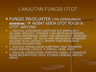 LANJUTAN FUNGSI OTOT FUNGSI INVOLUNTER  (TDK DIPENGARUHI   KEHENDAK )      AKIBAT KERJA OTOT POLOS & OTOT JANTUNG 1. PROPULSI (DORONGAN) SUBSTANSI DLM BERMACAM-2 SALURAN, MISALNYA: MAKANAN YANG BERJALAN SEPANJANG SALURAN PENCERNAAN; DARAH YANG BERJALAN DI SEPANJANG PEMBULUH DARAH; SEL TELUR YANG BERJALAN DI SEPANJANG SALURAN TELUR (OVIDUCT); SPERMA YANG BERJALAN DI SPANJANG SALURAN MANI 2. EKSPULSI (PENGELUARAN) SUBSTANSI YANG TERSIMPAN DALAM KANTUNG (VESICA)    EMPEDU, URINE, FESES 3. REGULASI (PENGATURAN) DIAMETER LUBANG    MENGATUR BESAR KECILNYA PUPIL MATA, PYLORUS LAMBUNG, REKTUM (ANUS) 