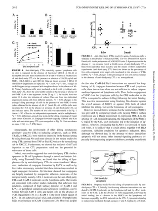 Interestingly, the involvement of other killing mechanisms
generally used by CTLs in inducing apoptosis, such as TNF,
TRAIL, or NKG2D, were ruled out indirectly in the human setting
by using blocking Abs and more directly in the mouse studies by
using CTLs derived from TNF or Trail KO mice or by neutralizing
Ab for NKG2D. Furthermore, we showed that the level of gd T cell
depletion in our CTL preparation ruled out the potential in-
volvement of these cells.
Indeed, our results suggested that anti–third-party CTLs induce
apoptosis in B cell lymphoma through a novel mechanism. Ini-
tially, using Transwell ﬁlters, we found that the killing of lym-
phoma cells by anti–third-party CTLs is contact mediated. More-
over, evaluation of conjugate formation by FACS, as well as by
live video microscopy, revealed that these interactions resulted in
rapid conjugate formation. Ab blockade showed that conjugates
are largely mediated by nonspeciﬁc adhesion molecules of the
integrin family, namely, LFA-1 molecules on the anti–third-party
CTLs and ICAM-1 molecules on the lymphoma cells. Our results
are consistent with earlier studies indicating that adhesion ring
junctions, composed of high surface densities of ICAM-1 and
LFA-1 or peripheral supramolecular activation complexes, can be
formed between CD8 T cells and target cells in the absence of
TCR engagement (30, 31). ICAM-1 is the most potent ligand of
LFA-1 in cell-adhesion assays (32), and activation of lymphocytes
leads to an increase in ICAM-1 expression (33). However, despite
the fact that ICAM-1–LFA-1 interactions are essential for long-
lasting (∼1 h) conjugate formation between CTLs and lymphoma
cells, these interactions alone are not sufﬁcient to induce caspase-
mediated apoptosis of lymphoma cells. Thus, further engagement
of MHC-I on the lymphoma cells by the CD8 molecules on the
CTLs is required to achieve killing following the initial binding.
This was ﬁrst demonstrated using blocking Abs directed against
the a3/a2 domain of MHC-I or against CD8, both of which
inhibited the killing, but not the formation, of cell conjugates.
However, more deﬁnitive evidence for the central role of MHC-I
was provided by comparing Daudi cells lacking MHC-I surface
expression and a Daudi transfectant re-expressing MHC-I. In the
absence of TCR-mediated signaling, the engagement of the MHC-I
C region by the CTL CD8 molecules led to the initiation of ap-
optosis. However, considering that ICAM-1 is expressed on many
cell types, it is unlikely that it could afford, together with HLA
expression, sufﬁcient conditions for apoptosis induction. Thus,
although we showed that, in the absence of these interactions
apoptosis will not ensue, other internal-signaling pathways, es-
pecially those regulating apoptosis inhibitors, probably underlie the
FIGURE 6. Proposed model for the killing of lymphoma cells by anti–
third-party CTLs. 1, Initially, fast-forming adhesion interactions are me-
diated by ICAM-1 molecules on the lymphoma cell and by LFA-1 mole-
cules on the CTL. 2, In the absence of TCR engagement, following the
initial binding, the a3 domain in the MHC-I on the lymphoma cell
becomes engaged by the CD8 molecule on the CTL. 3, Apoptotic signaling
is induced and mediated through caspases 3 and 8, leading to cell death.
FIGURE 4. Anti–third-party CTLs reactivity against lymphoma cells
in vitro is impaired in the absence of functional MHC-I. A, BL-44 or
Granta519 line cells were incubated for 36 h with or without a 5-fold excess
of anti–third-party CTLs in the presence or absence of 10–20 mg/ml anti
MHC-I (HLA-ABC) or anti-CD8 Ab. Data are shown as mean 6 SD of 10
independent experiments in triplicates. *p , 0.05, **p , 0.01, changes in
the killing percentage compared with samples cultured in the absence of Ab.
B, Primary lymphoma cells were incubated as in A, with or without anti–
third-party CTLs from the same healthy donors in the presence or absence of
anti–MHC-I Ab in two regimens; in the 20 mg 3 2, the second dose was
added 18 h after the initiation of culture. Data are from two individual
experiments using cells from different patients. *p , 0.01, changes in the
average killing percentage of cells in the presence of anti–MHC-I versus
values obtained in the absence of Ab. C, Daudi, BL-44, or B2m cells were
incubated for 36 h in the absence or presence of anti–third-party CTLs at
the indicated ratios. The number of live cells was determined as in Fig. 1
(mean 6 SD of four to six independent experiments, each in multiplicates).
*p , 0.01, differences, at each time point, in the killing percentage of Daudi
cells versus B2m cells. D, Conjugate-formation capacity of Daudi and B2m
cells with anti–third-party CTLs was assayed as in Fig. 3A. Data are shown
as mean 6 SD (n = 5 CTL lines).
FIGURE 5. Anti–third-party CTLs reactivity against lymphoma cells is
impaired in the absence of functional MHC-I in vivo. Detection of B2m or
Daudi cells in the peritoneum of NOD/SCID mice 5 d postinjection in the
absence (2) or presence (+) of a 4-fold excess of anti–third-party CTLs.
Data from individual mice (circles) and the means of three independent
experiments (anti–third-party CTL lines) are shown as the percentage of
live cells compared with target cells incubated in the absence of CTLs
(100%). *p , 0.01, changes in the percentage of live cells versus samples
in the absence of anti–third-party CTLs. ns, nonsigniﬁcant.
2012 TCR-INDEPENDENT KILLING OF LYMPHOMA CELLS BY CTLs
byguestonJuly25,2016http://www.jimmunol.org/Downloadedfrom
 