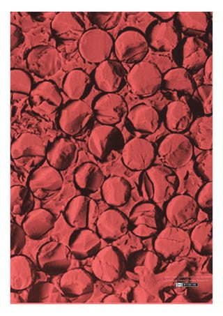 Glass Fiber Composite Cross Section
(changes made), Ceram Research 
 