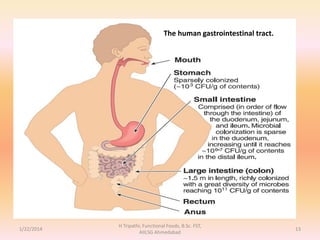 1/22/2014
H Tripathi, Functional Foods, B.Sc. FST,
AIILSG Ahmedabad
13
The human gastrointestinal tract.
 