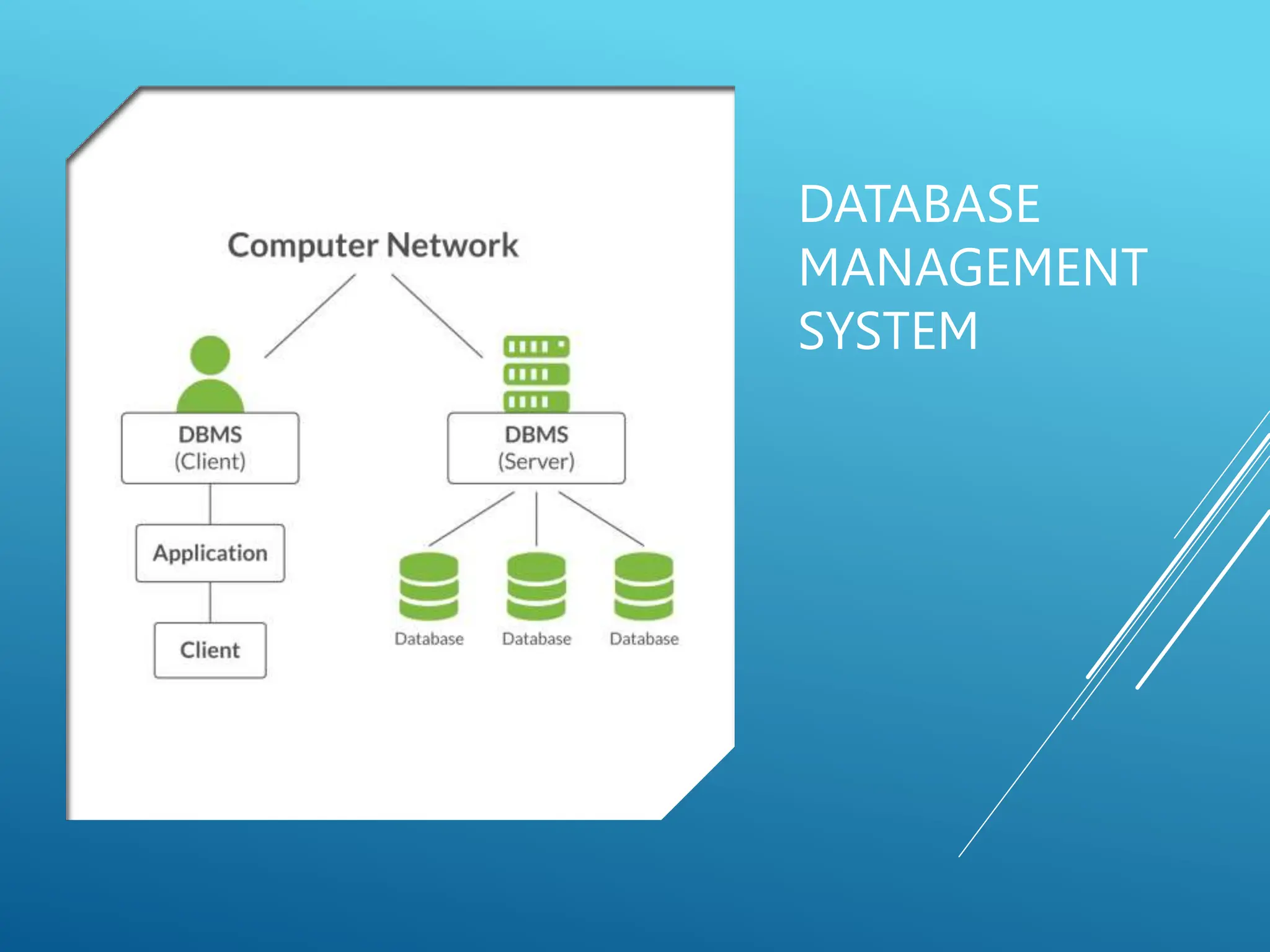 DATABASE
MANAGEMENT
SYSTEM
 