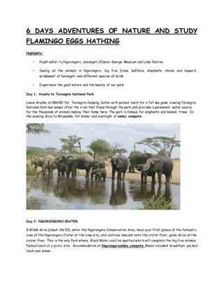 6 DAYS ADVENTURES OF NATURE AND STUDY
FLAMINGO EGGS HATHING
Highlights:
• Night safari to Ngorongoro, Serengeti,Olduvai George Meusium and Lake Natron.
• Seeing all the animals in Ngorongoro, big five (lions, buffalos, elephants, rhinos and leopard,
wildebeest at Serengeti and different species of birds
• Experience the good nature and the beauty of our park
Day 1: Arusha to Tarangire National Park
Leave Arusha at 08hr00 for Tarangire Camping Safari with packed lunch for a full day game viewing.Tarangire
National Park has named after the river that flows through the park and provides a permanent water source
for the thousands of animals making their home here. The park is famous for elephants and baobab trees. In
the evening drive to Mtowambu for dinner and overnight at simba campsite
Day 2: NGORONGORO CRATER
8.30AM drive (about 3hr30), enter the Ngorongoro Conservation Area, have your first glance of the fantastic
view of the Ngorongoro Crater at the view site, and continue descent onto the crater floor, game drive on the
crater floor. This is the only Park where, Black Rhino could be spotted which will complete the big five animals.
Packed lunch at a picnic site. Accommodation at Ngorongorosimba campsite Meals included: breakfast, packed
lunch and dinner
 
