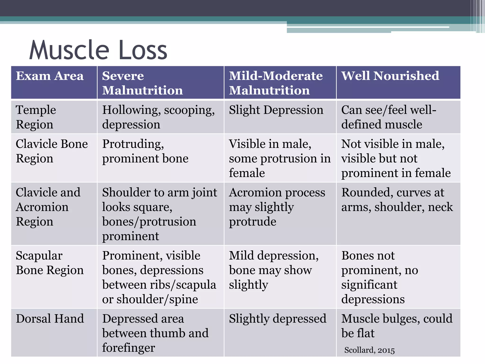Muscle Loss
Exam Area Severe
Malnutrition
Mild-Moderate
Malnutrition
Well Nourished
Temple
Region
Hollowing, scooping,
depression
Slight Depression Can see/feel well-
defined muscle
Clavicle Bone
Region
Protruding,
prominent bone
Visible in male,
some protrusion in
female
Not visible in male,
visible but not
prominent in female
Clavicle and
Acromion
Region
Shoulder to arm joint
looks square,
bones/protrusion
prominent
Acromion process
may slightly
protrude
Rounded, curves at
arms, shoulder, neck
Scapular
Bone Region
Prominent, visible
bones, depressions
between ribs/scapula
or shoulder/spine
Mild depression,
bone may show
slightly
Bones not
prominent, no
significant
depressions
Dorsal Hand Depressed area
between thumb and
forefinger
Slightly depressed Muscle bulges, could
be flat
Scollard, 2015
 