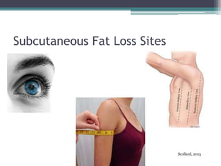Subcutaneous Fat Loss Sites
Scollard, 2015
 